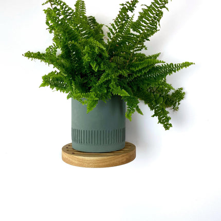 Oak floating shelved, round decorating shelves, modern home deco shelvs, floating plant shelf, fashionable furniture, shelves with bracket